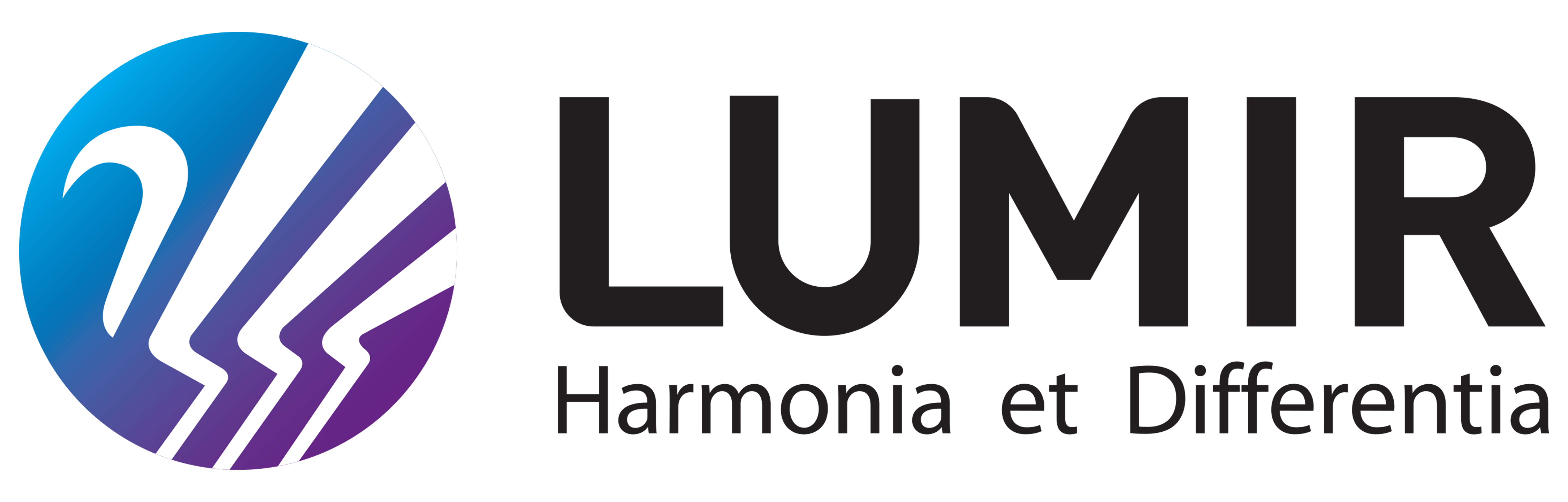 루미르 주식회사